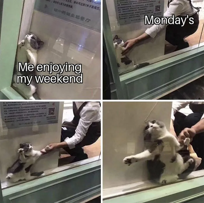 40 Of The Wittiest And Smartest Weekend Memes To Make Your Day