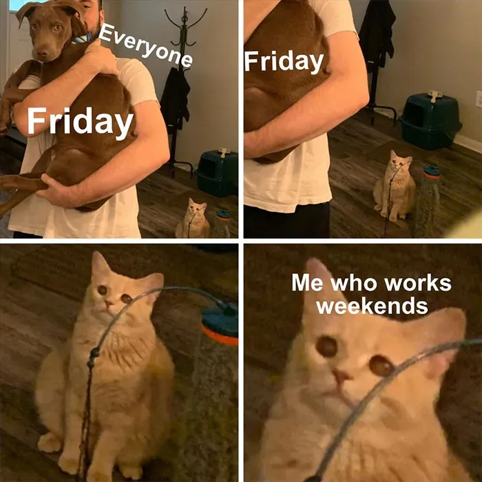 40 Of The Wittiest And Smartest Weekend Memes To Make Your Day