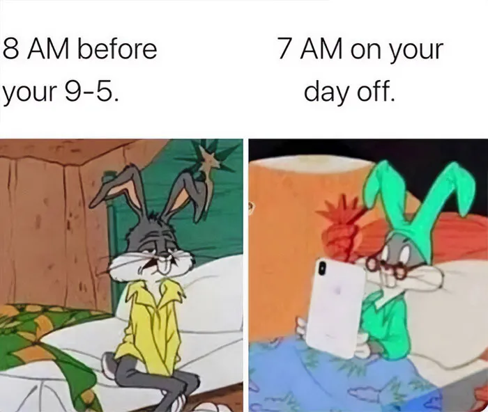 40 Of The Wittiest And Smartest Weekend Memes To Make Your Day