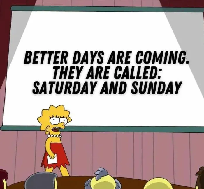 Cartoon character presenting a witty weekend meme about Saturday and Sunday to an audience.