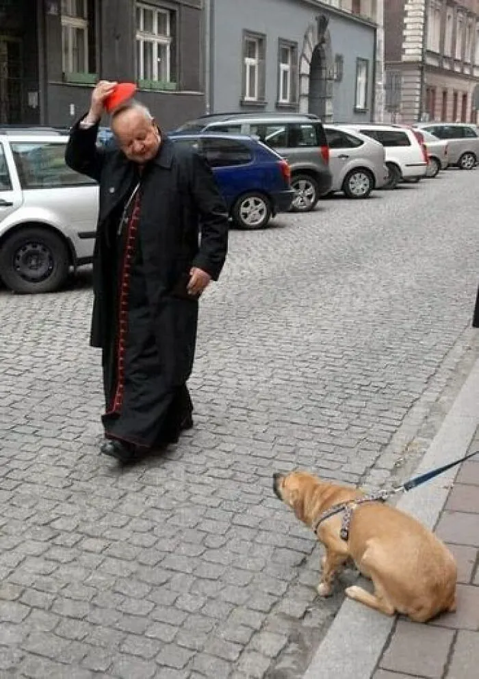 30 Of The Most Questionable And Funniest Pics Spotted On Polish Profiles (New Pics)