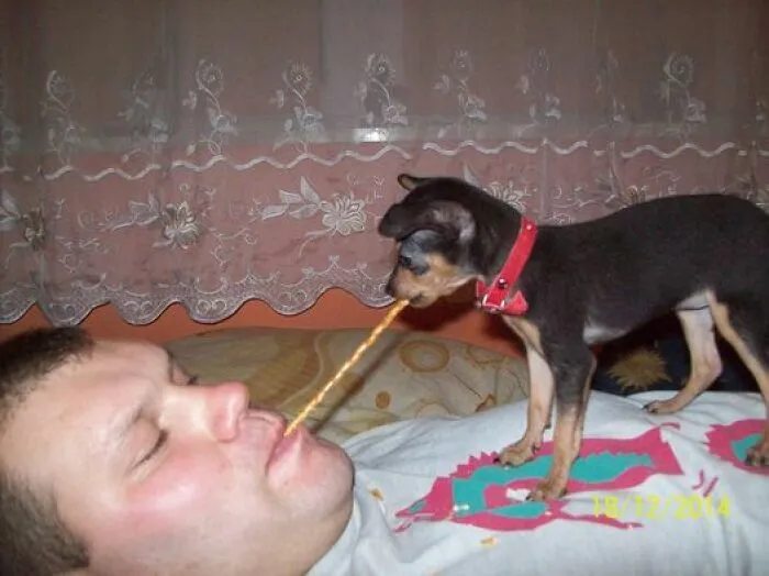 30 Of The Most Questionable And Funniest Pics Spotted On Polish Profiles (New Pics)