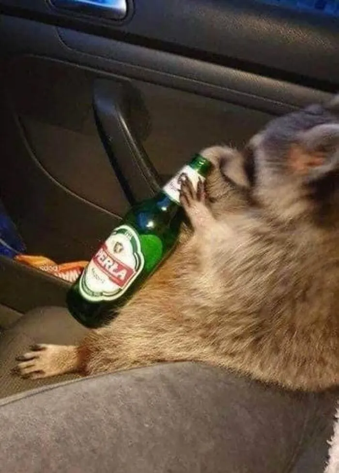 30 Of The Most Questionable And Funniest Pics Spotted On Polish Profiles (New Pics)