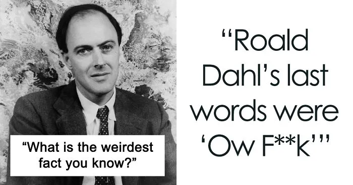 35 Of The Weirdest, Maybe Useless, But Interesting Facts To Know, Shared In This Online Thread