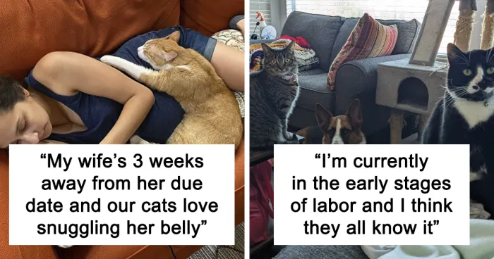 50 Uplifting Photos That Prove We Don't Deserve Animals (New Pics)