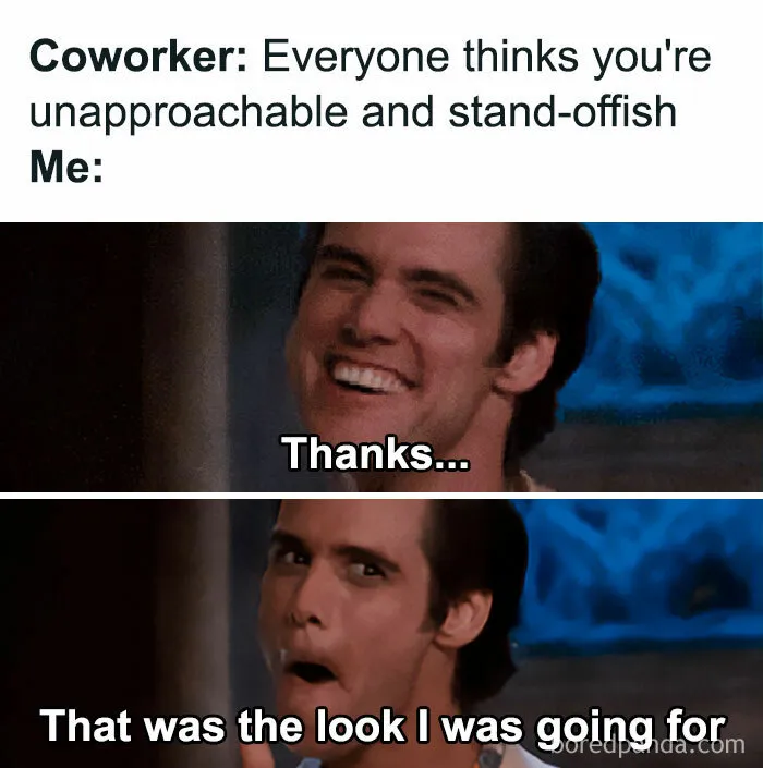 50 Tearfully Funny Memes And Posts About Work And Adult Life In General