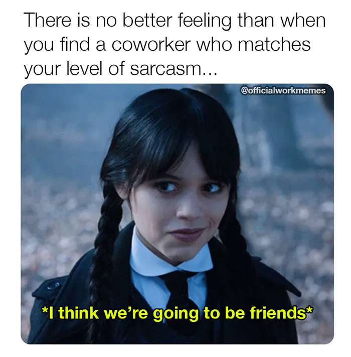 Funny meme about work, showing a person with braided hair and a caption on finding a sarcastic coworker.
