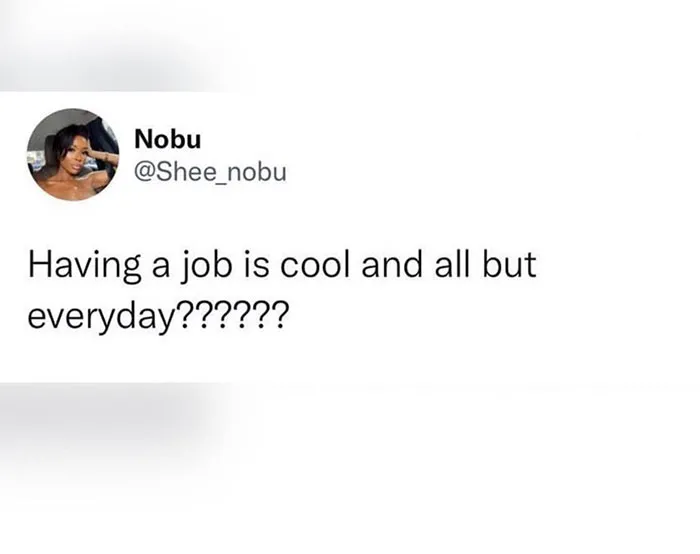 Funny meme about adult life questioning the daily grind of having a job.