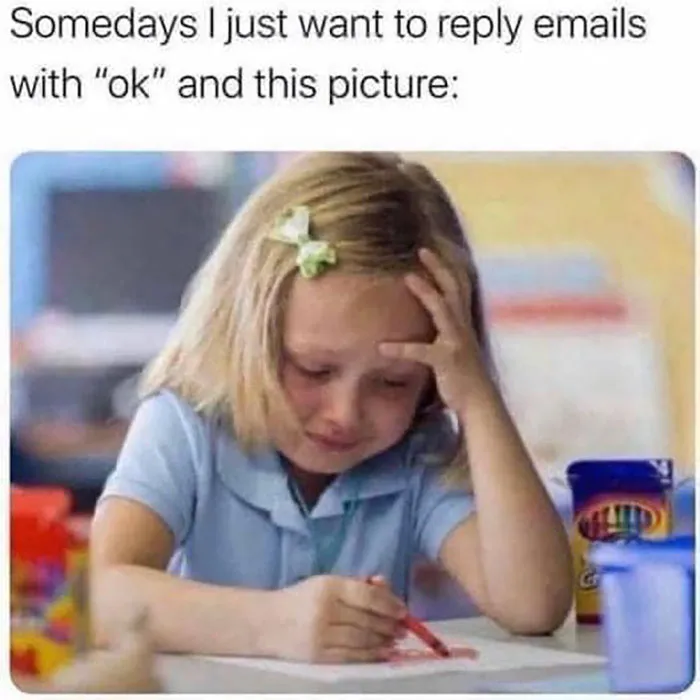 50 Tearfully Funny Memes And Posts About Work And Adult Life In General