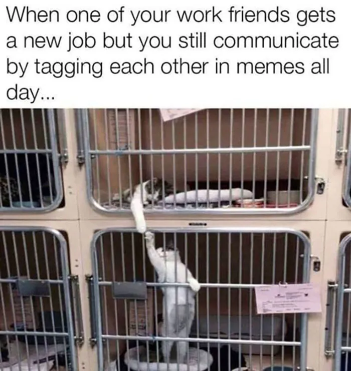50 Tearfully Funny Memes And Posts About Work And Adult Life In General