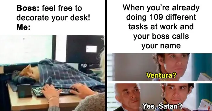 50 Tearfully Funny Memes And Posts About Work And Adult Life In General