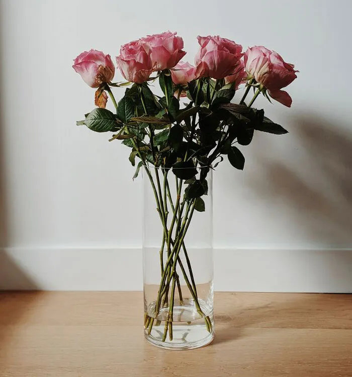 Someone Asked, "What Smells Better Than It Tastes?" And Here Are The 48 Most Spot-On Replies