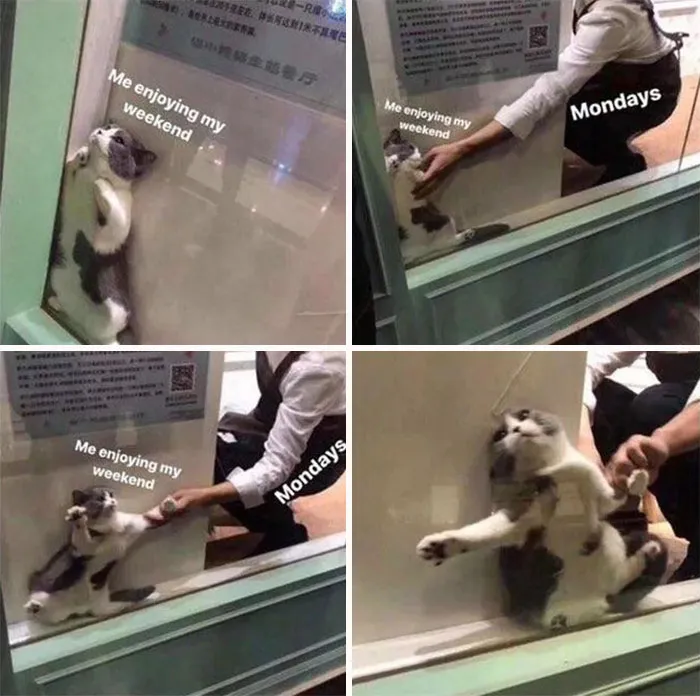 Monday Dragging You Out of the Weekend