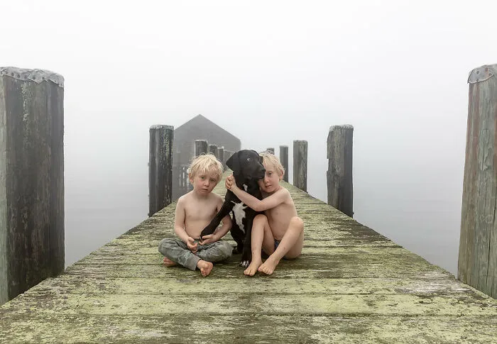 "Triad" From The Series "Natural Tendencies" By Emily Fisher (USA)