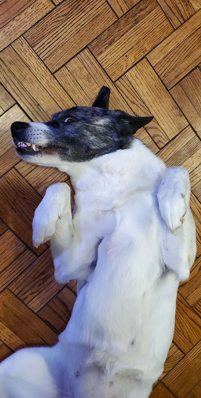 This Is Lulu
