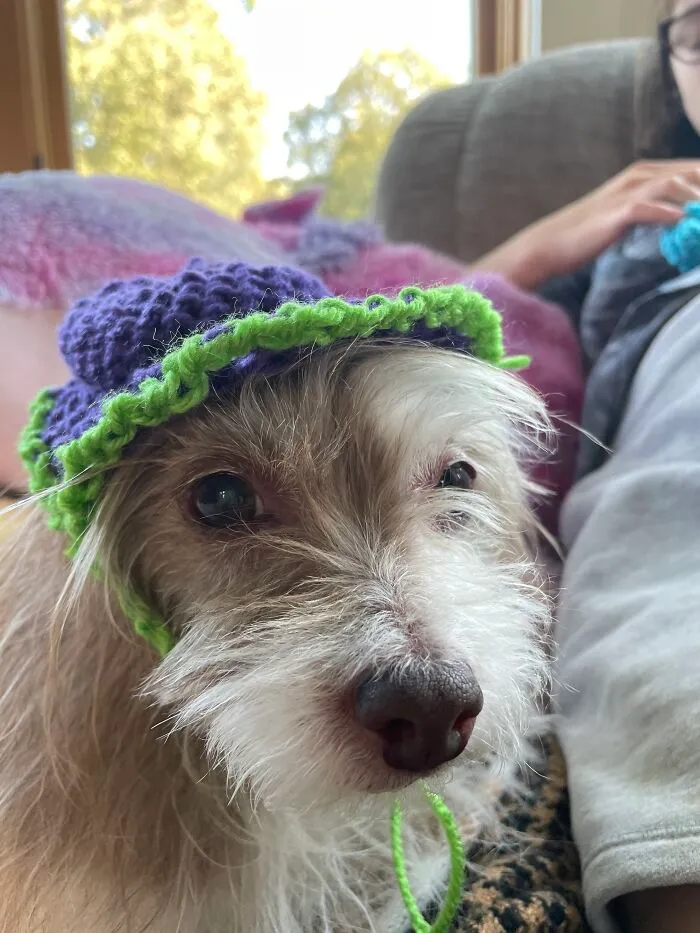 I Crocheted Her A Hat