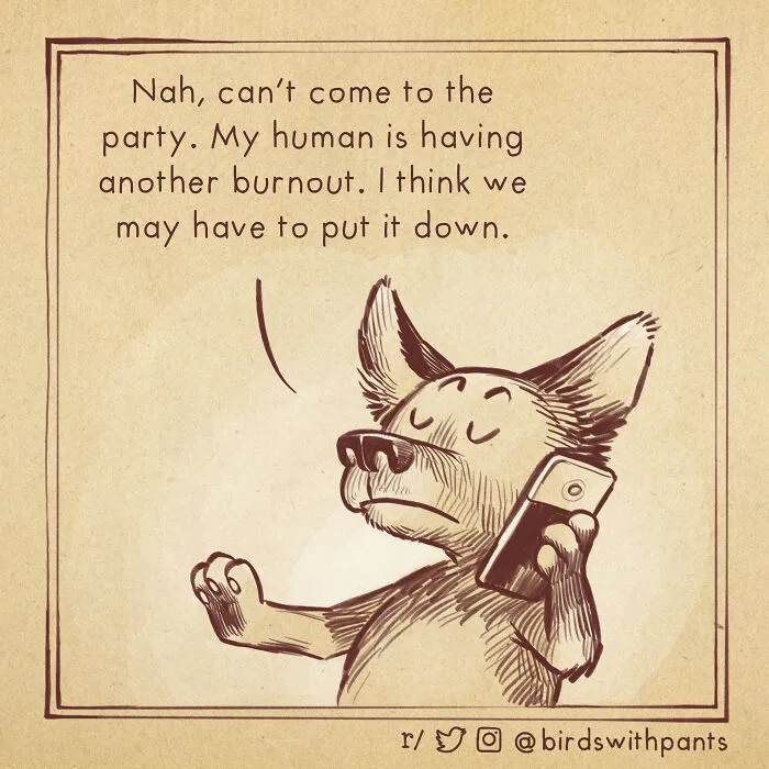 I Create Relatable Comics About Animals Living In The Human World, And Here Are The Best 30 Of Them