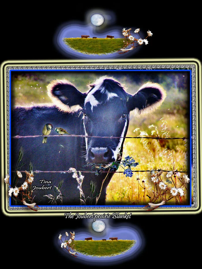 Blue Cow