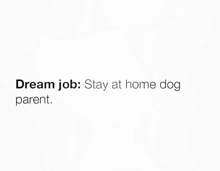 50 Memes That Show Just How "Basic" And Similar We All Are