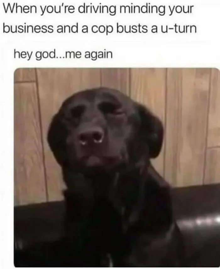 50 Memes That Show Just How "Basic" And Similar We All Are
