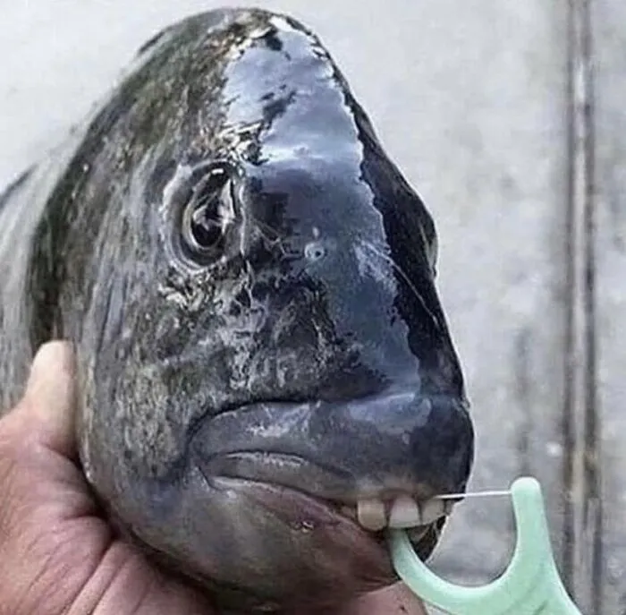 Oi Bruv Jus Cleenin My Teef