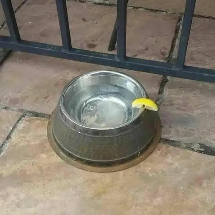 This IG Page Is Sharing Cursed Memes, And Here Are 56 Of The Best