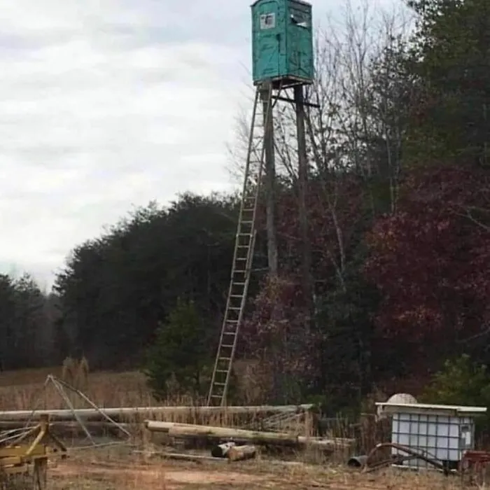 Cursed meme featuring a toilet atop a tall structure in a wooded area with a ladder leading up to it.