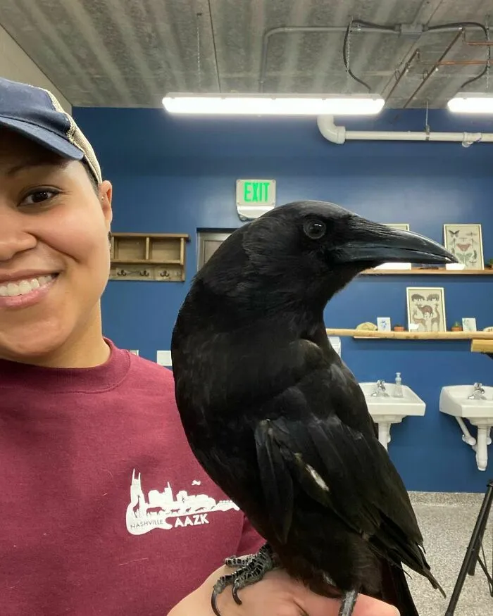 Woman holding crow
