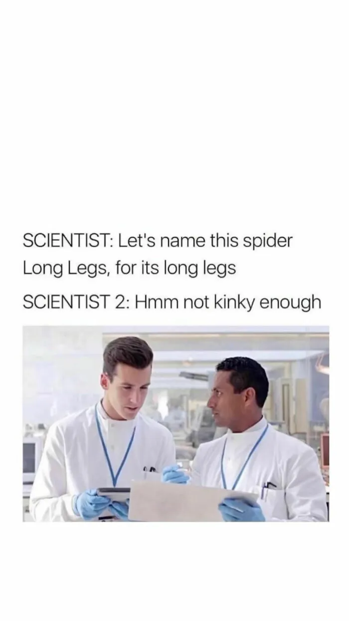 Two scientists in lab coats humorously discussing spider names, highlighting relatable funny memes about life.