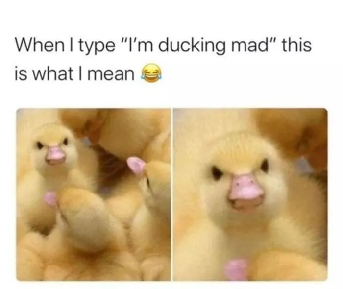 50 Relatable Funny Memes About Life Shared By Punsworld IG Page