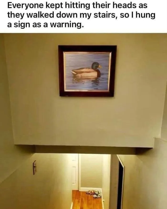 Funny-Relatable-Memes-Punsworld