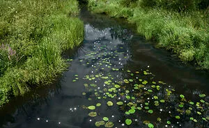 I Combined Light And Water To Create These Images About Rare Chalk Streams (12 Pics)