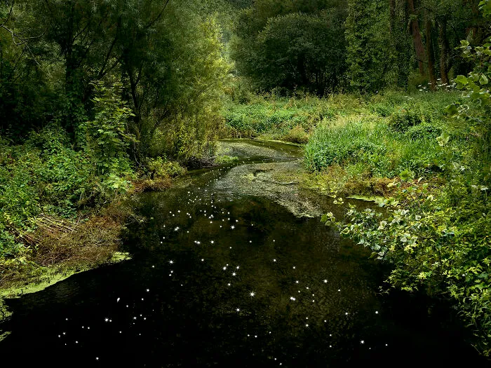 I Combined Light And Water To Create These Images About Rare Chalk Streams (12 Pics)