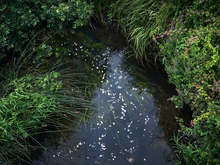 I Combined Light And Water To Create These Images About Rare Chalk Streams (12 Pics)