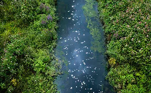 I Combined Light And Water To Create These Images About Rare Chalk Streams (12 Pics)