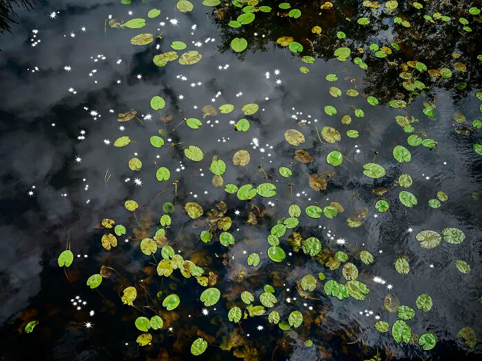 I Combined Light And Water To Create These Images About Rare Chalk Streams (12 Pics)