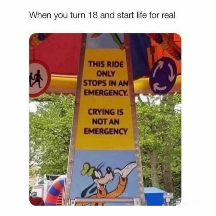 40 Funny Memes And Jokes To Tickle Your Funny Bone