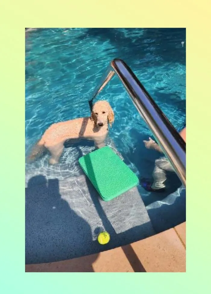 Puppers Day Off