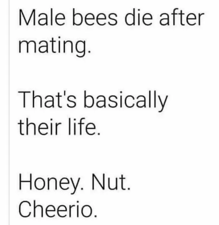 50 Relatable Funny Memes About Life Shared By Punsworld IG Page