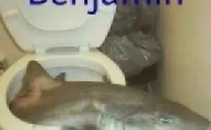 This Instagram Account Collects The Most “Cursed Images” On The Internet, And Here Are 45 Of The Best Of The Worst Ones (New Pics)