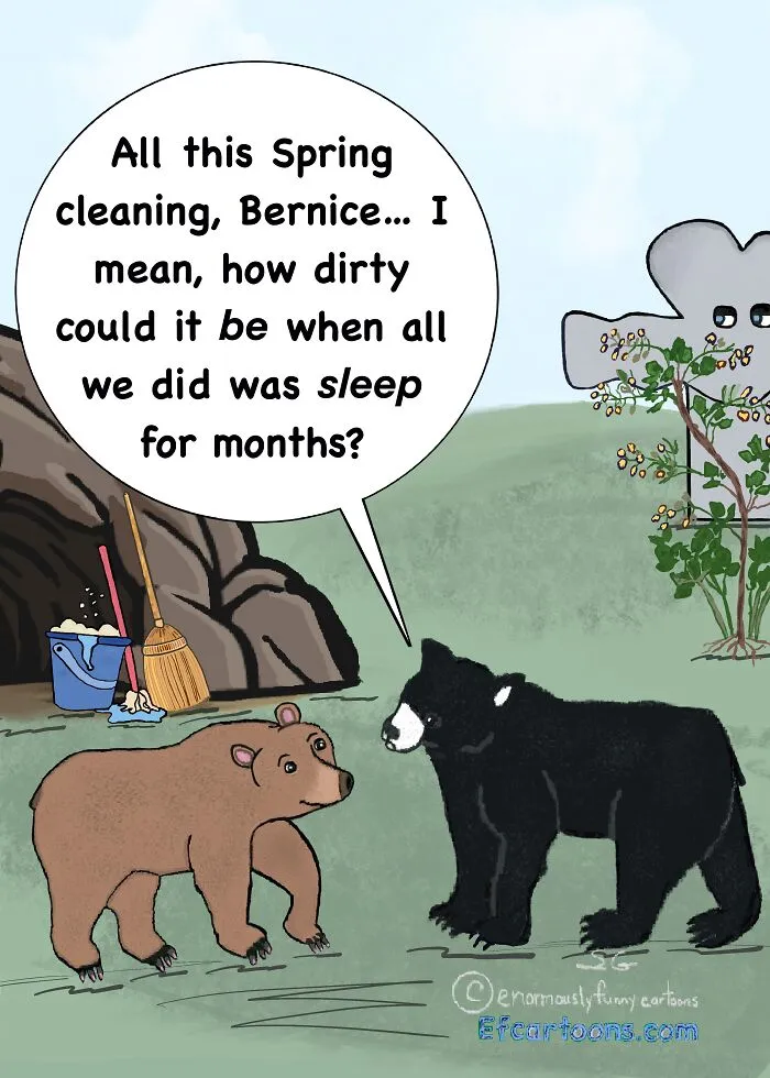 Bear Facts