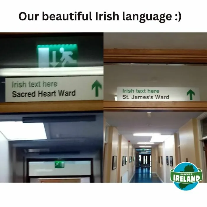 “Meanwhile In Ireland”: 50 Of The Funniest New Pics That Explain Why People Can't Get Enough Of Ireland