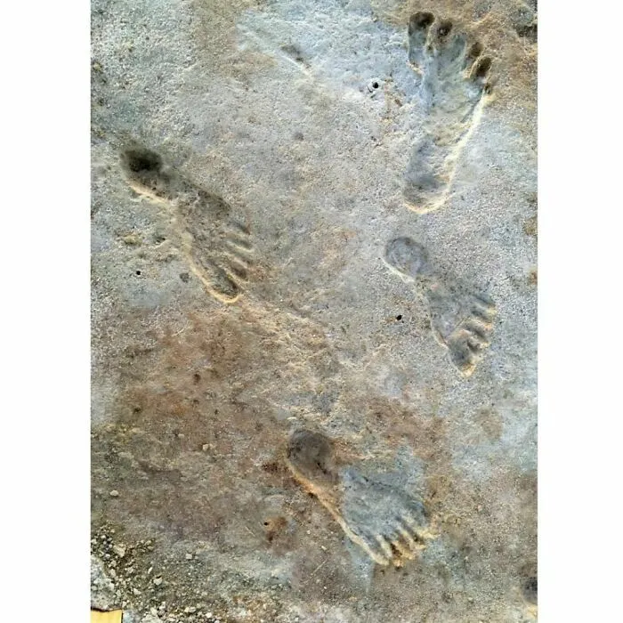 20,000 Year Old Human Footprints Uncovered By Researchers In White Sands National Park. According To A New Study, These Tracks Date To Between 21,000 To 23,000 Years Ago—a Time When Massive Ice Sheets Are Believed To Have Blocked Human Migration Into The Americas. Photo By Dan Odess