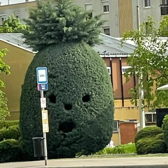En un lugar de Székesfehérvár, Hungría