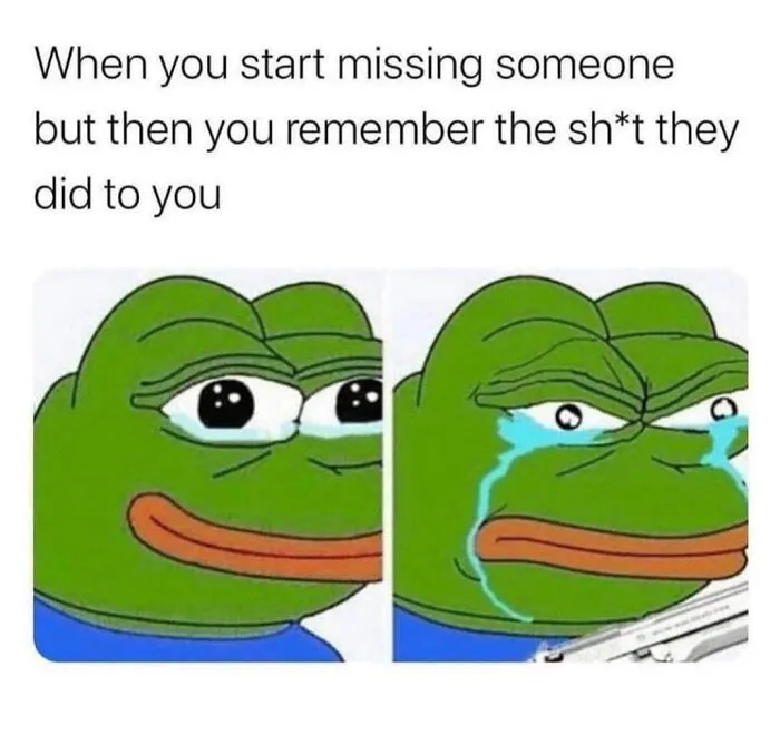 A two-panel meme showing a green cartoon frog with tears, illustrating a funny moment.
