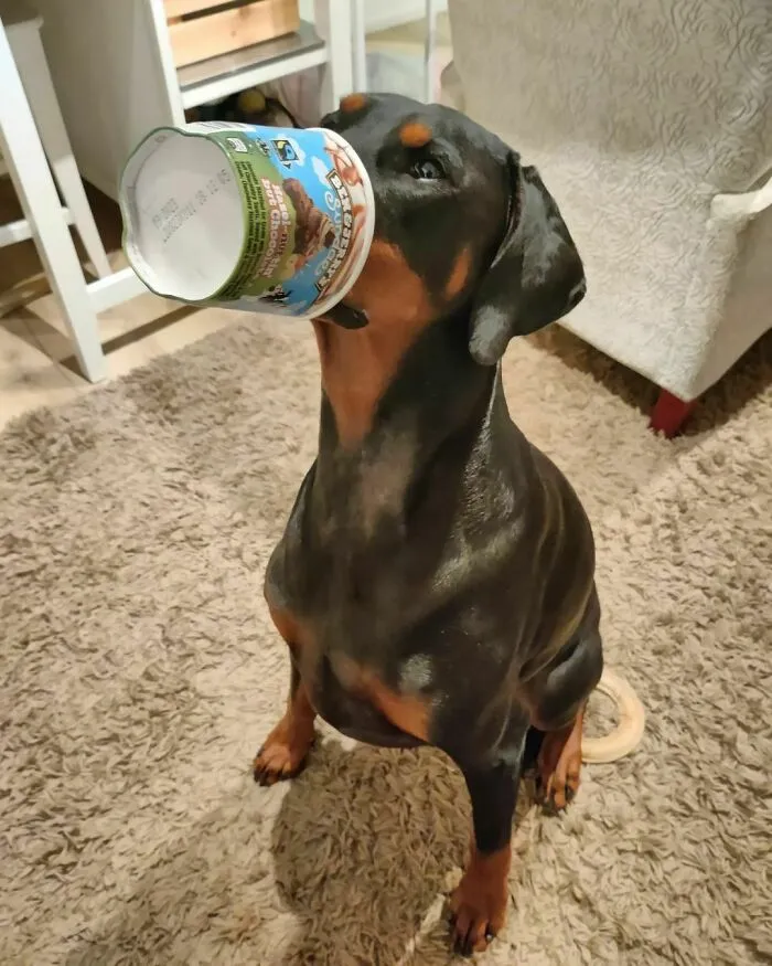 Friday Night Muzzle