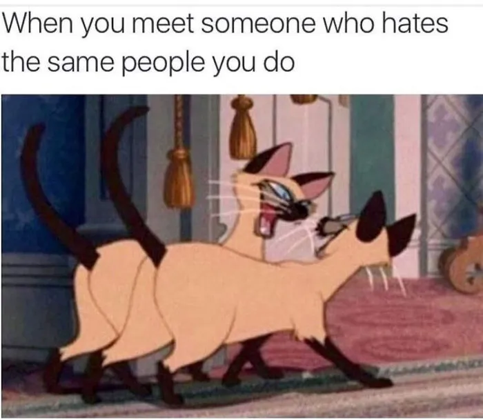30 Hilarious Memes We Found On These Instagram Pages
