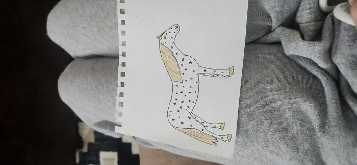 Appaloosa Horse