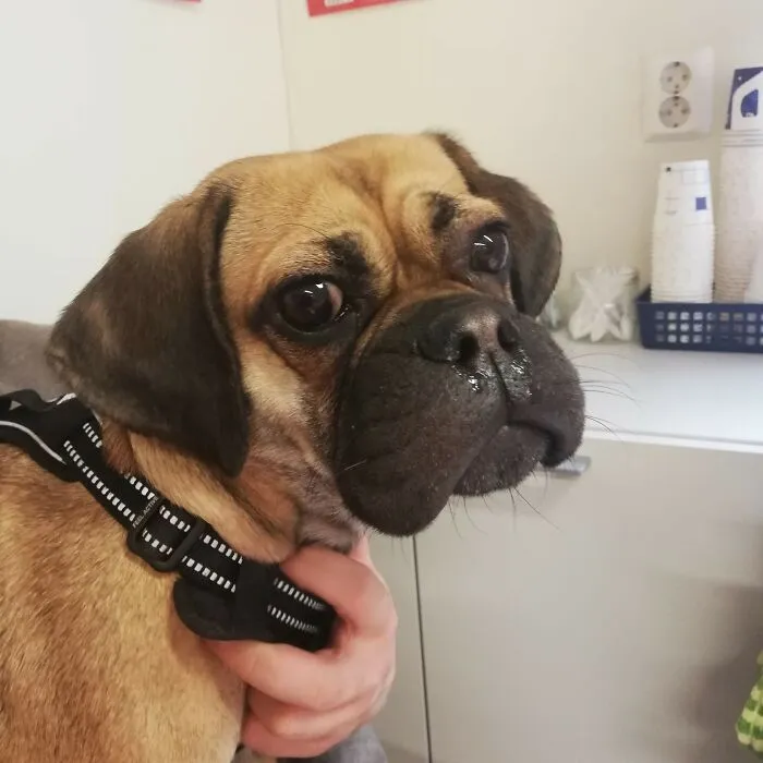 I Just Wanted To Play With The Bee