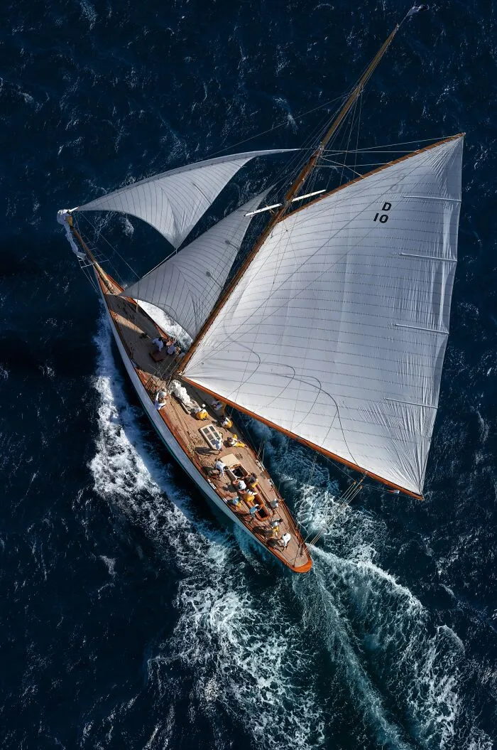 "Les Voiles De St Tropez" By Daria Troitskaia